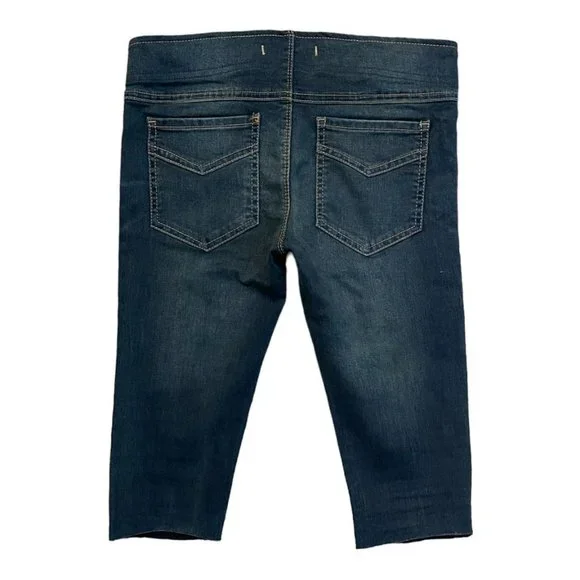 Free People | Reworked Low Rise Elasticized Waist Denim Capri | Sz 25 - Picture 2 of 3